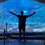 Colin Wilkins - @_colinwilkins - Instagram