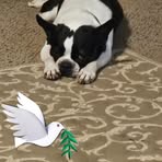 Collin Wimberly - Facebook