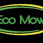 Collin Wirick - @ecomoww - Instagram