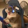 Collin - @collinwiser - TikTok
