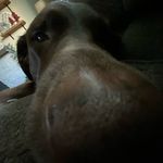 Collin Wolfe - @collin_wolfe06 - Instagram