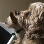 Collin Woodruff - @itbecollin - Instagram