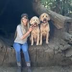 Collin K Woolsey - @collin_woolsey - Instagram