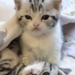 Collin Woolsey - @collin.woolsey.1 - Instagram