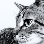 Collin S. Worth - @collin_s_worth - Instagram