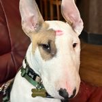 Colin Wynn - @im_just_colin - Instagram