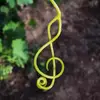 collinyang00 - @collinymusic - TikTok
