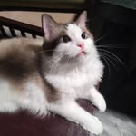 Collin Zhou - @collinyunyun - Instagram