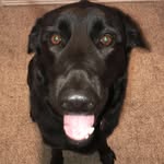 Coal Collins - @coal_bartholomew_collins - Instagram