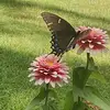 CollinsCelticCrafts - @collinscelticcrafts - TikTok