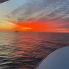 collinsdavis - @collinsdavis - TikTok