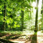 Collins Jones - @collins.jones.587 - Instagram