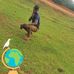 Collins Omondi - Facebook