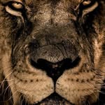 Collins Omondi - @omondicollinsjoe - Instagram