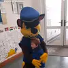 Colm Connolly - @colm233 - TikTok