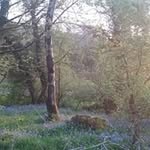 colm Connolly - @colm8855 - Instagram