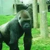 colmconnolly17 - @colmconnolly17 - TikTok