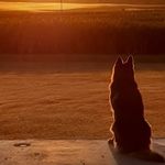 @colm.delaney13 - Instagram