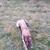 Colm Sweeney - Facebook