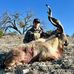 Colton Bender - Facebook
