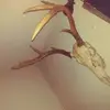 colt45morris - @mike.ock436 - TikTok