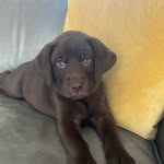 Colt Morrison - @colt_morrisonn - Instagram