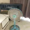 Morton Colt - @morton.colt - TikTok