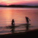 @rogers_colt - Instagram
