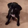 Woods Colt - @woods.colt - TikTok