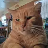woods colt - @woods.colt1 - TikTok