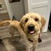 Colton Turner - Facebook