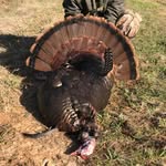 Colton Allen - @colton_allen47 - Instagram