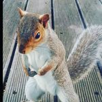 Colton Bailey - @cxbailey12 - Instagram