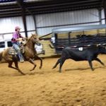 colton bailey - @coltonbailey5 - Instagram