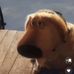 Colton Baker - Facebook