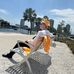 Colten Barlow - Facebook