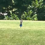 Colten Barlow - @colten.barlow - Instagram