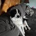 Colton Barlow - Facebook