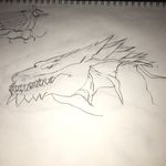 Colton Boyd - @colton_boyd3837 - Instagram