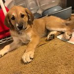 Colton Chambers - @coltontc3710 - Instagram