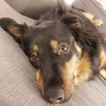 Colton Chambers - @colton.chambers018 - Instagram