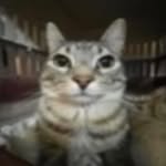 Colton chambers - @kidnamedfinger444 - Instagram
