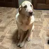 coltonchambers - @coltoncambers11 - TikTok