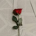 Colton Clark - Facebook