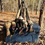 Colton Clark - @colton_clark7 - Instagram