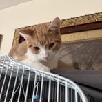 Colton Clark - Facebook