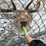 Colton Clark - @coltonclark730 - Instagram