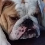 george colton conner - @georgecoltonconner - Instagram