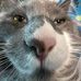 Colton Daniels - Facebook