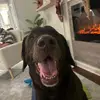 Colton Dean - @colton.deannn - TikTok